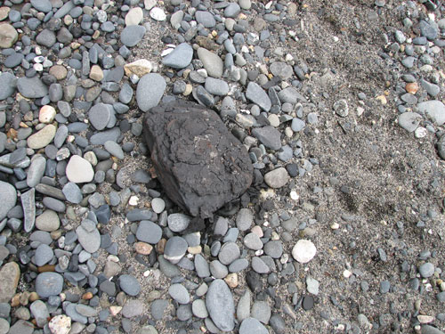 アラスカ　クラムガルチ