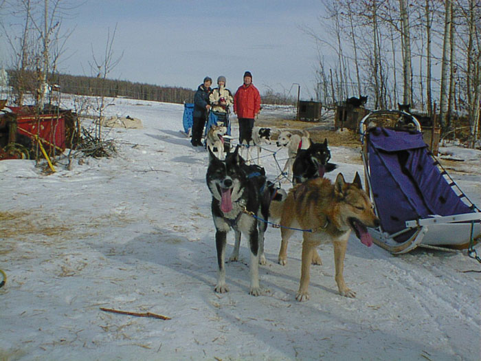 dogsled-03-2003.jpg