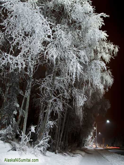 アラスカ　アンカレッジ